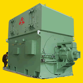 QFW-2無刷勵(lì)磁汽輪發(fā)電機(jī)